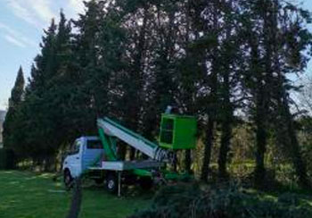 Élagage d’arbre 31 à Rieux Volvestre